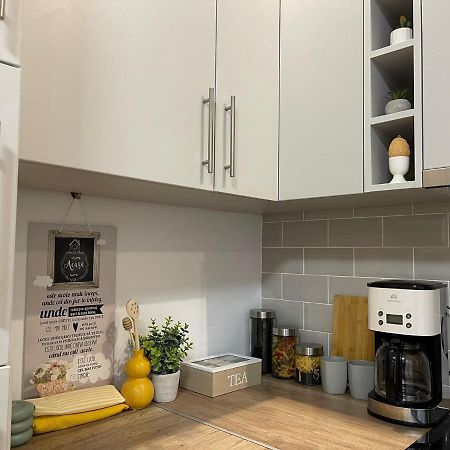 Nova Lake Apartamente Wild Jungle 사투마레 외부 사진